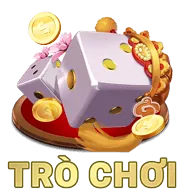 Biểu tượng địa phương hóa Việt Nam